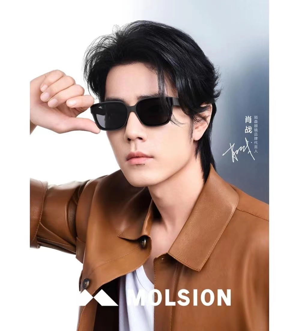 MOLSION MS3085
