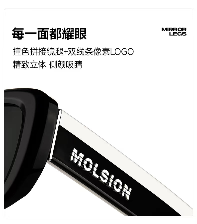 MOLSION MS3091