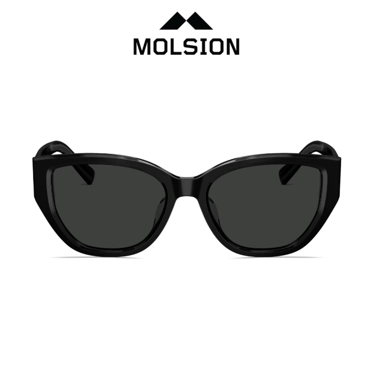 MOLSION MS3101