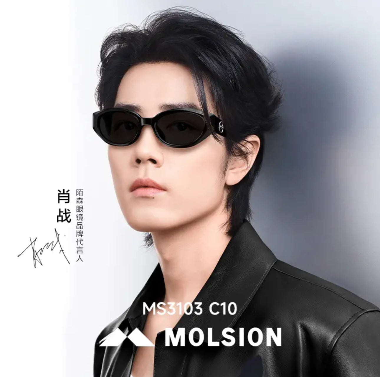 MOLSION MS3103