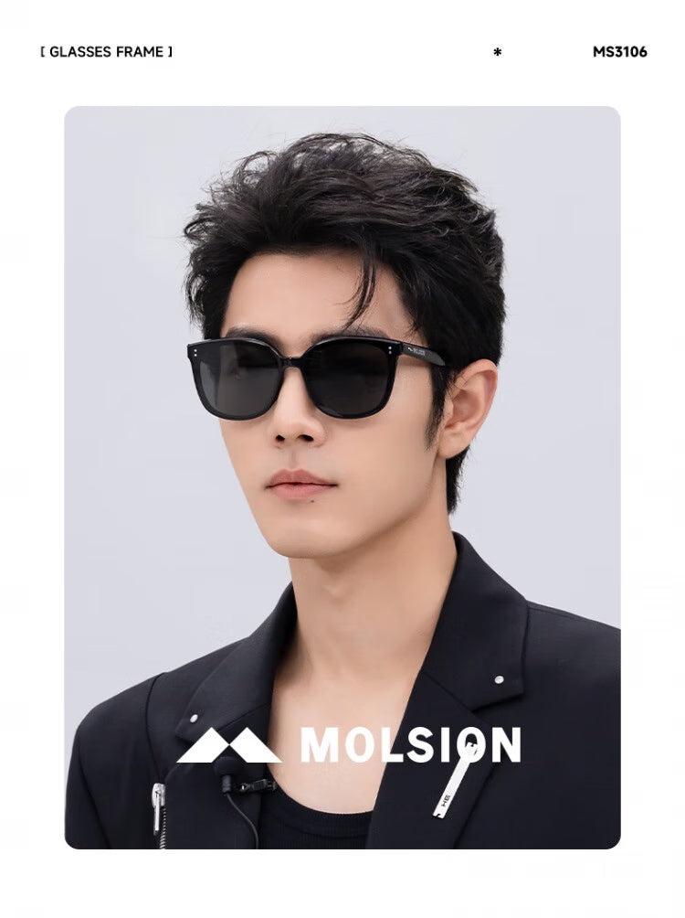 MOLSION MS3106