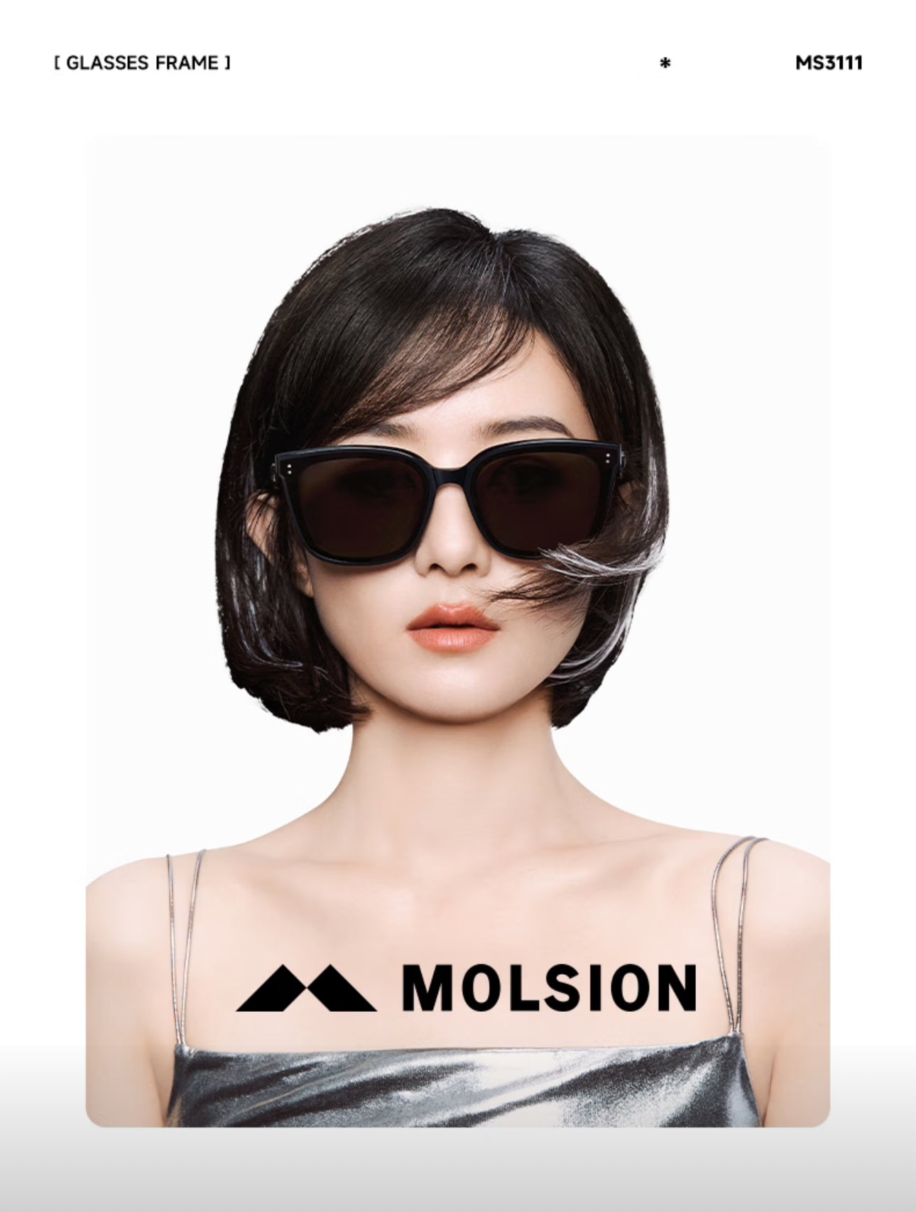 MOLSION MS3111