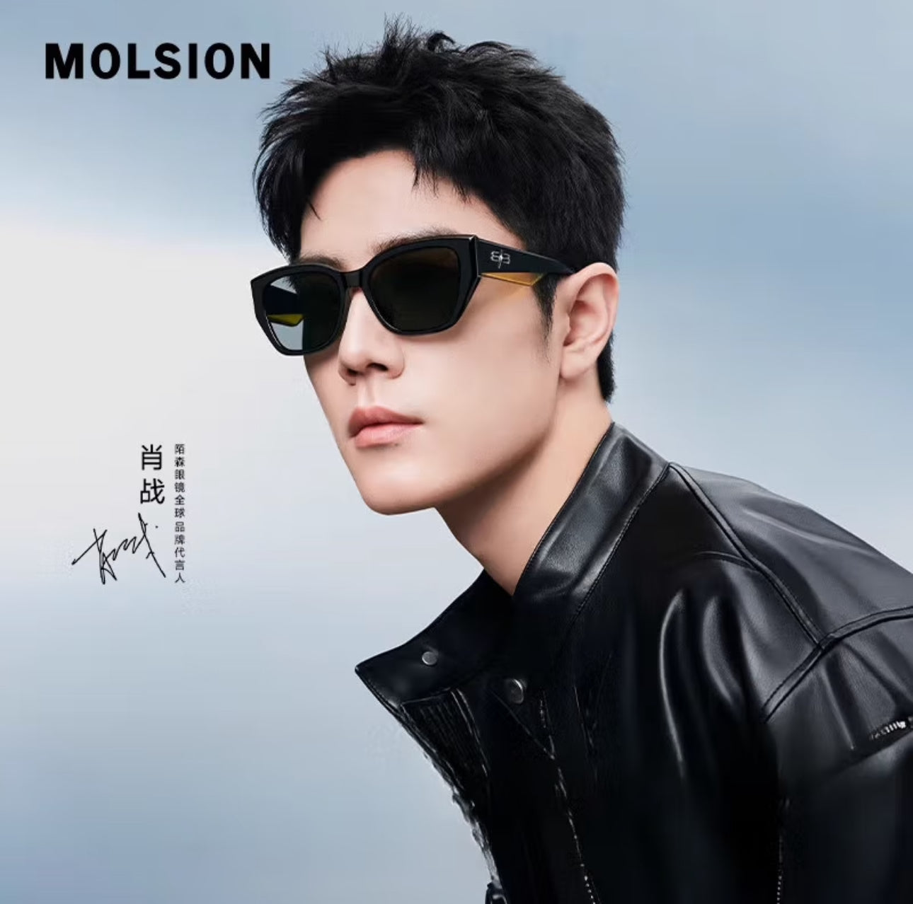 MOLSION MS3118