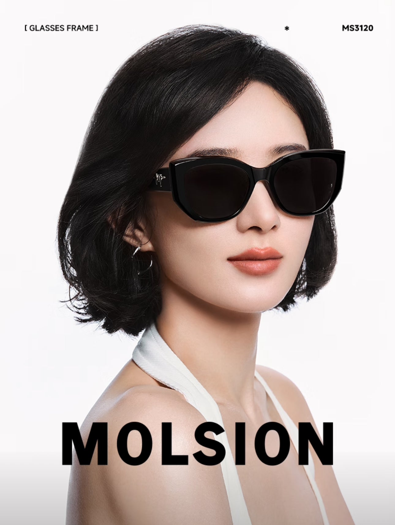 MOLSION MS3120