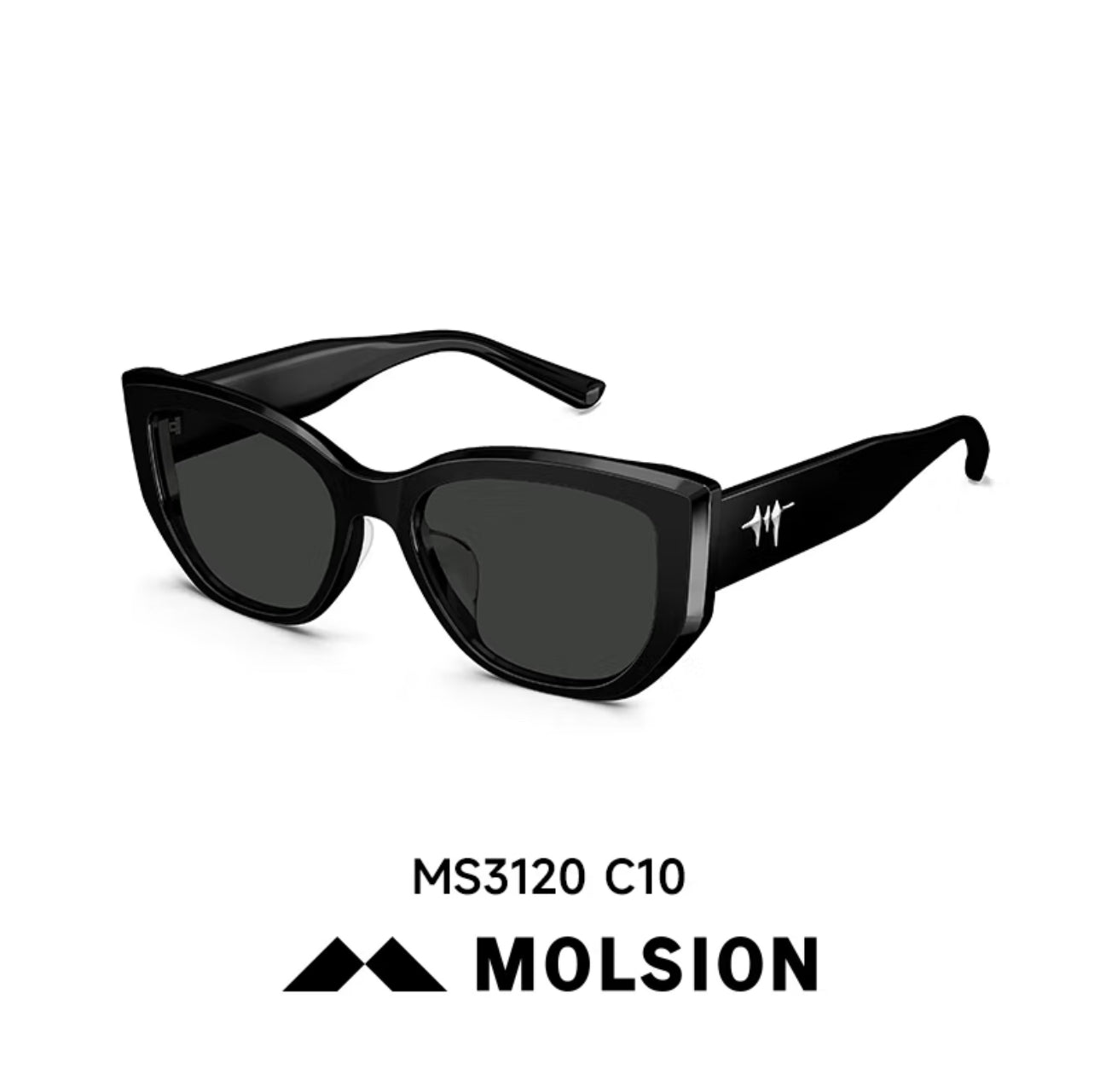 MOLSION MS3120