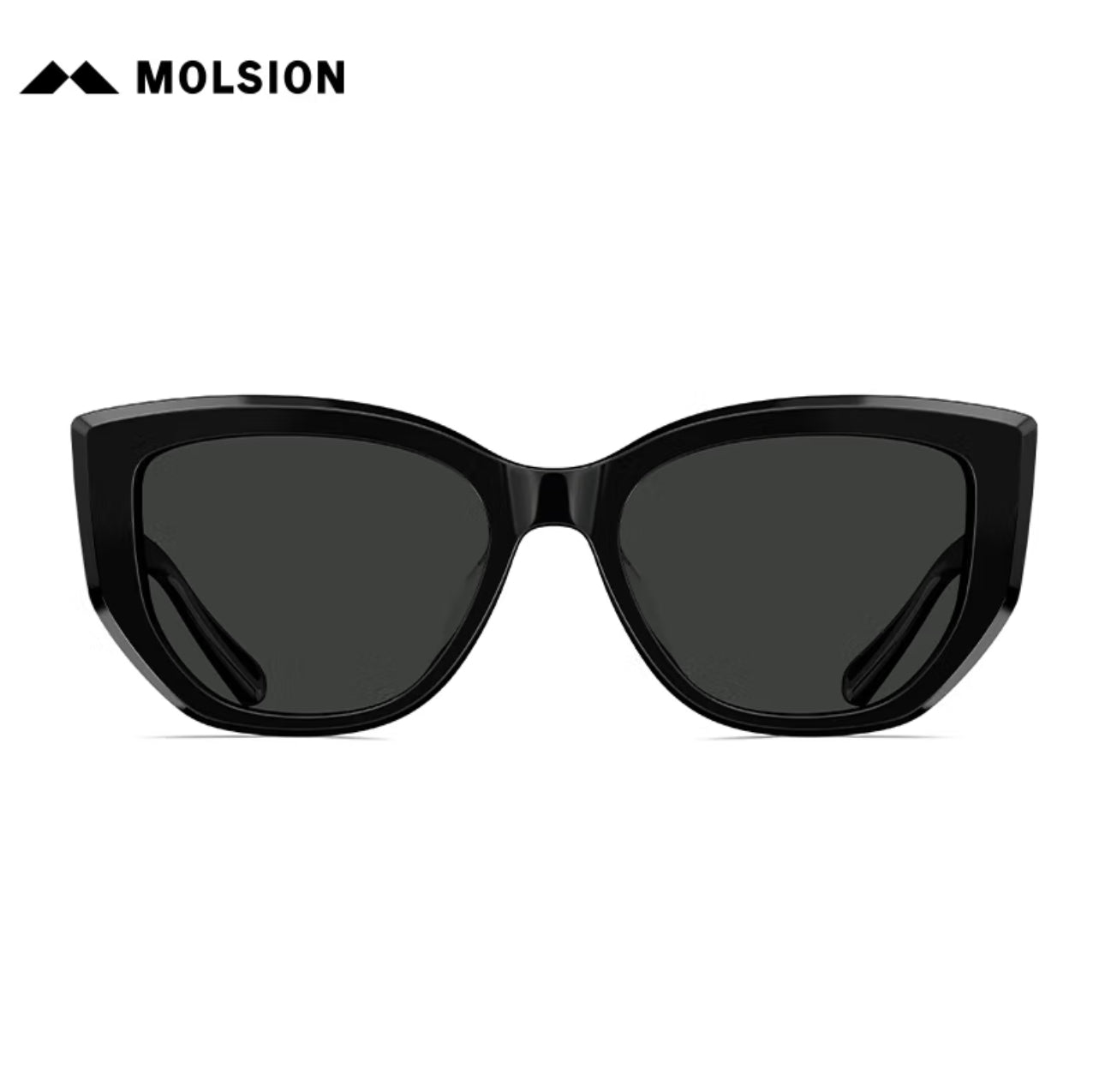 MOLSION MS3120