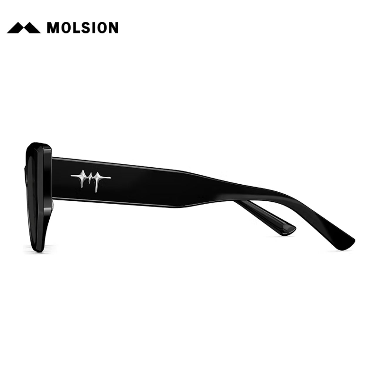 MOLSION MS3120