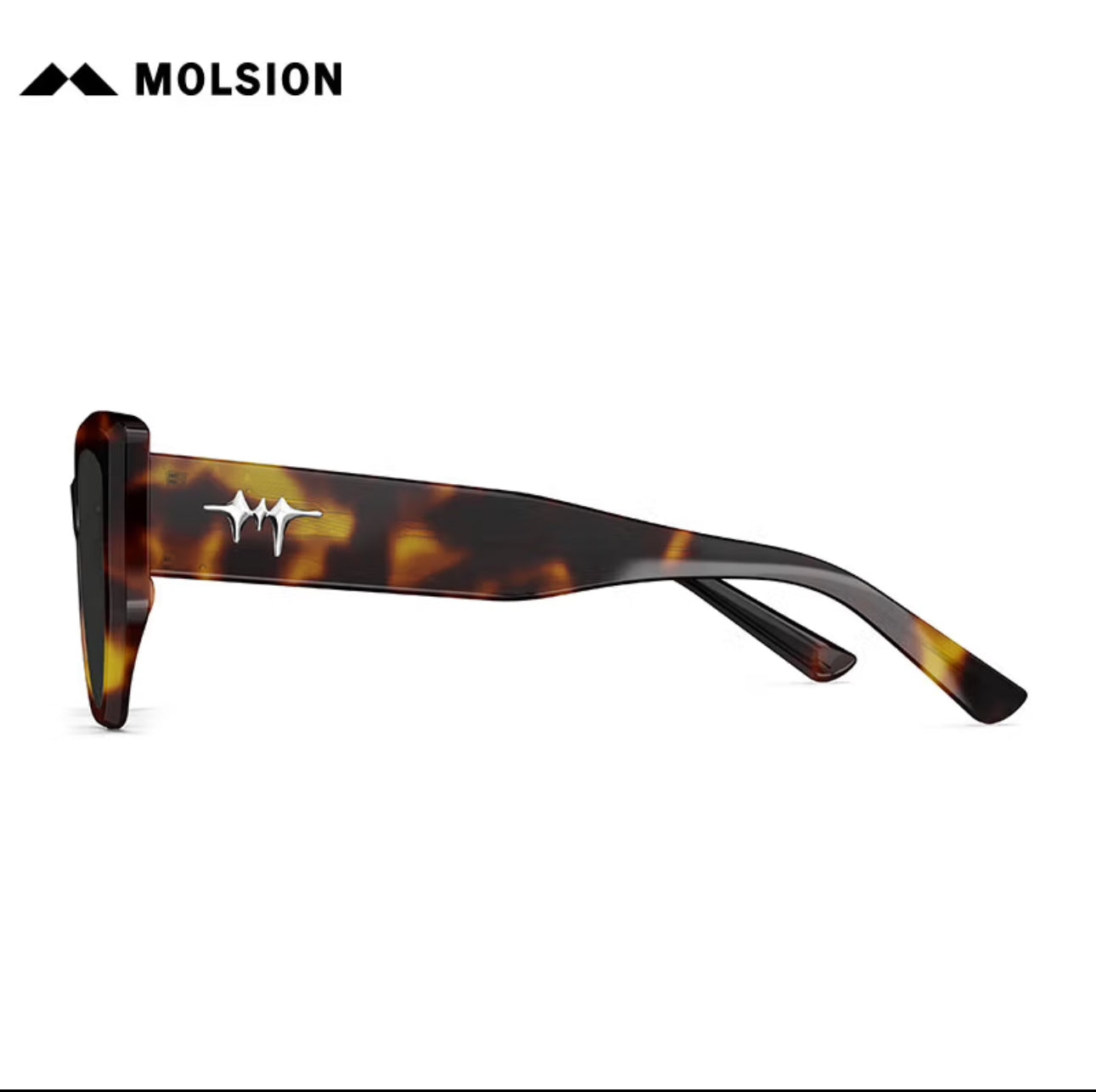 MOLSION MS3120