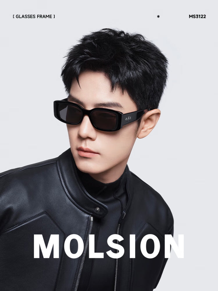 MOLSION MS3122