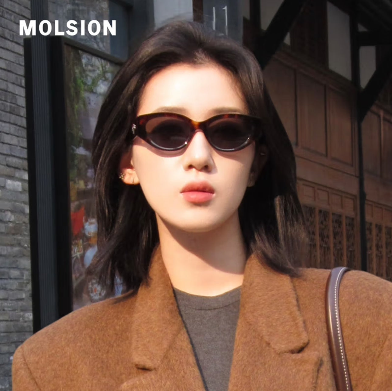 MOLSION MS3123