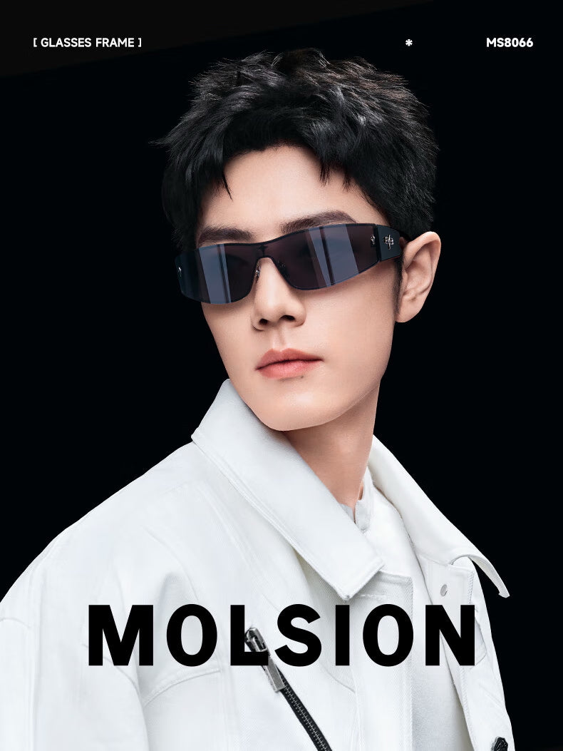 MOLSION MS8066