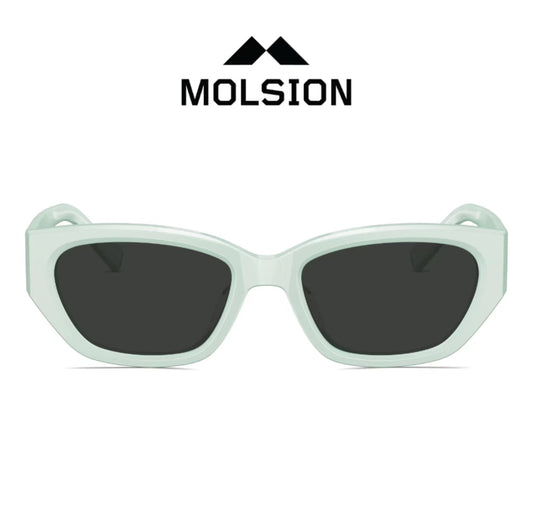 MOLSION MS3100
