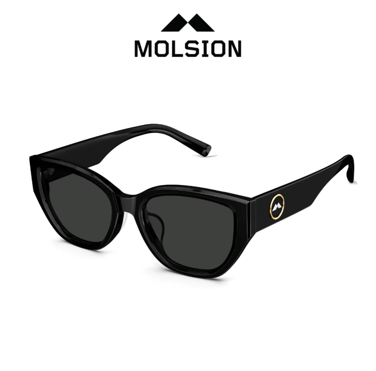 MOLSION MS3101