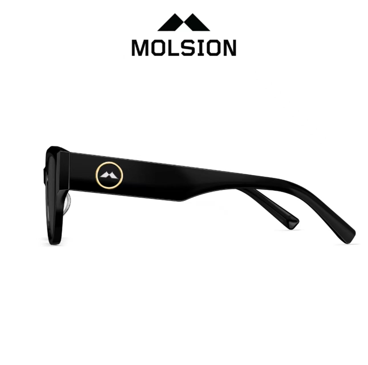 MOLSION MS3101