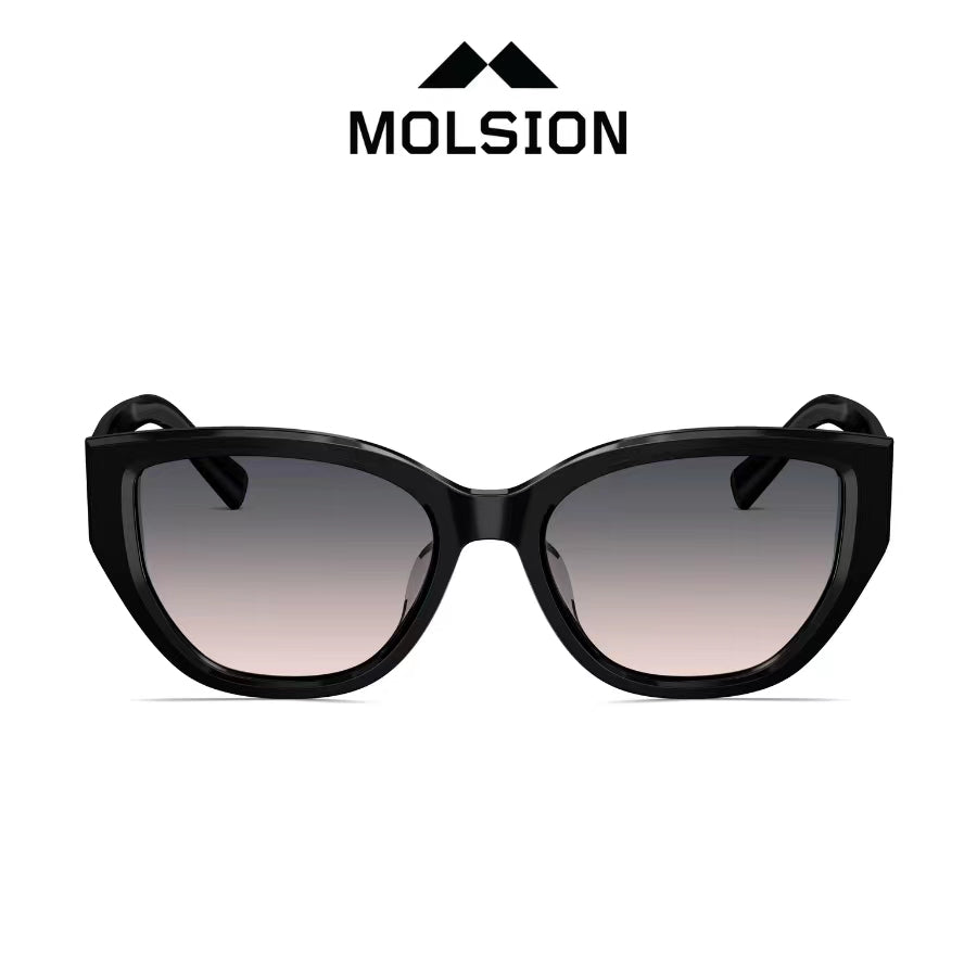 MOLSION MS3101