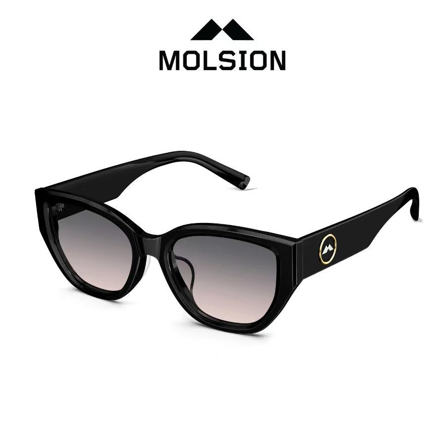 MOLSION MS3101