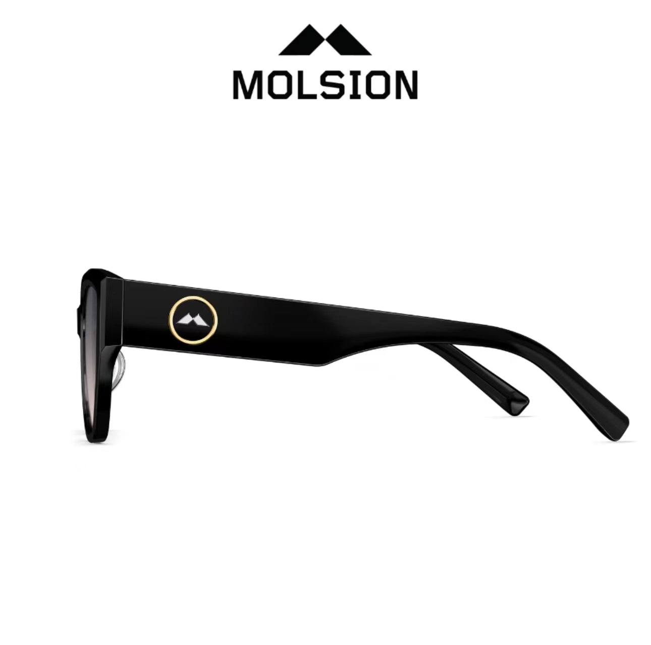 MOLSION MS3101