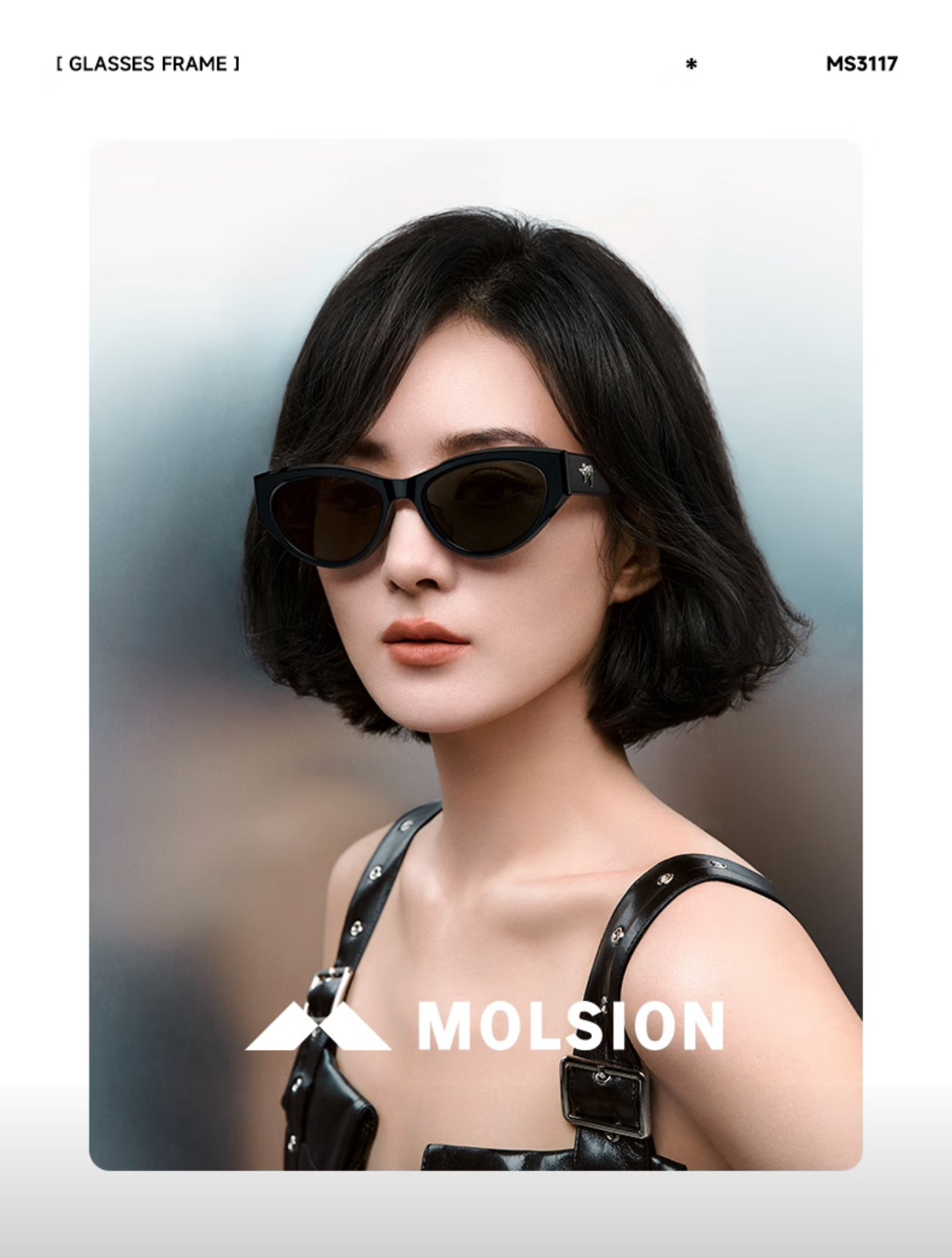 MOLSION MS3117