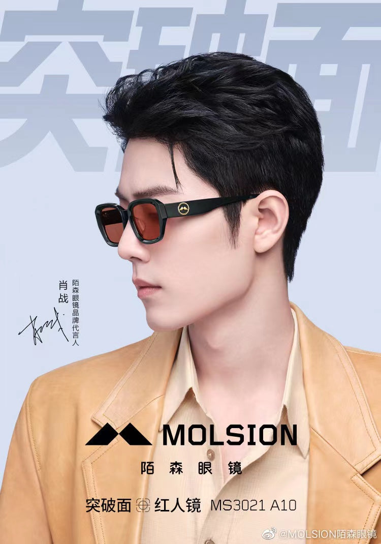 MOLSION MS3021